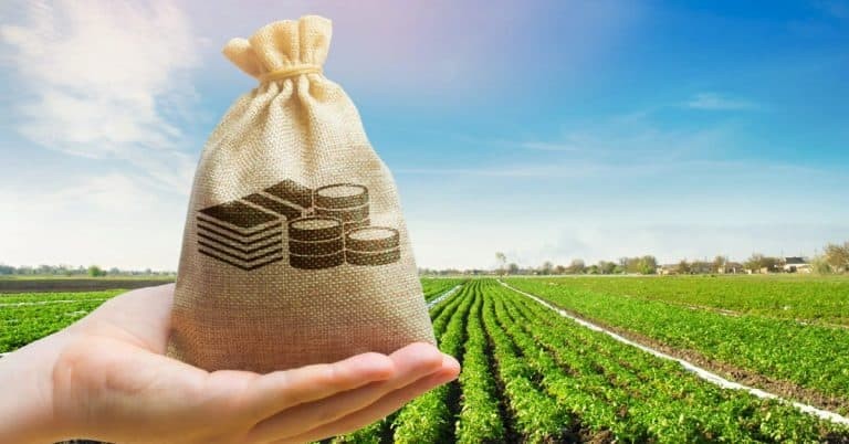 Ministro da Agricultura negocia mais R$ 500 milhões para seguro rural