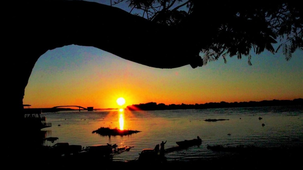 Deputados aprovam cognome ‘Estado do Pantanal’ ao MS