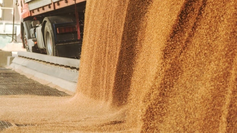 Safra brasileira de soja pode crescer 2,4% em 2023/24, diz consultoria