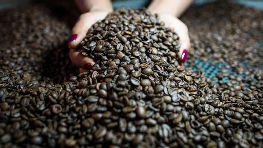 Brasil exporta 39,2 milhões de sacas de café em 2023