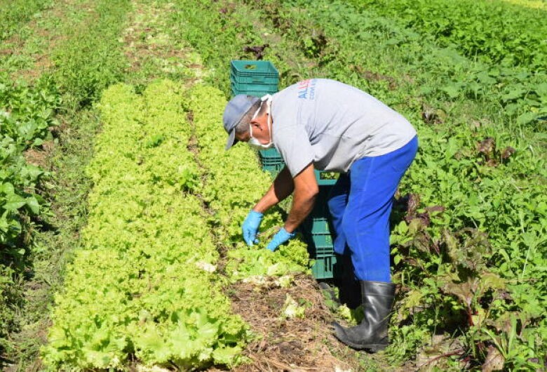 Nova política industrial prevê R$ 20 bi para mecanização da agricultura familiar
