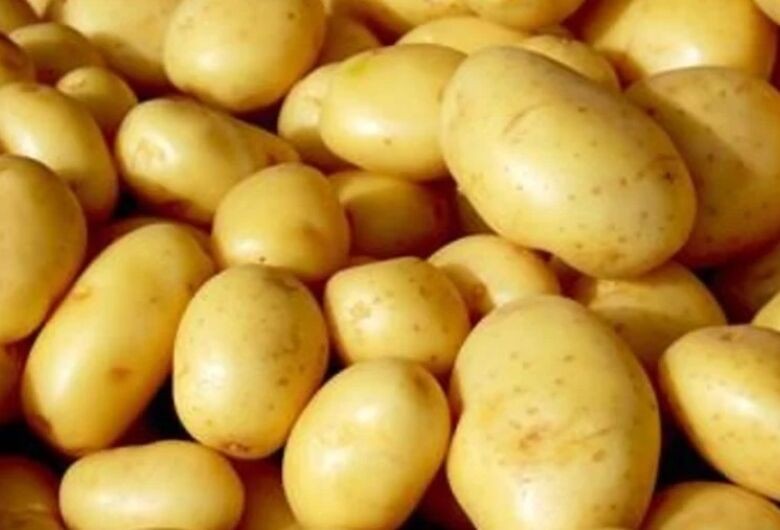 Preços da batata sobem no atacado ante menor oferta; confira cotações