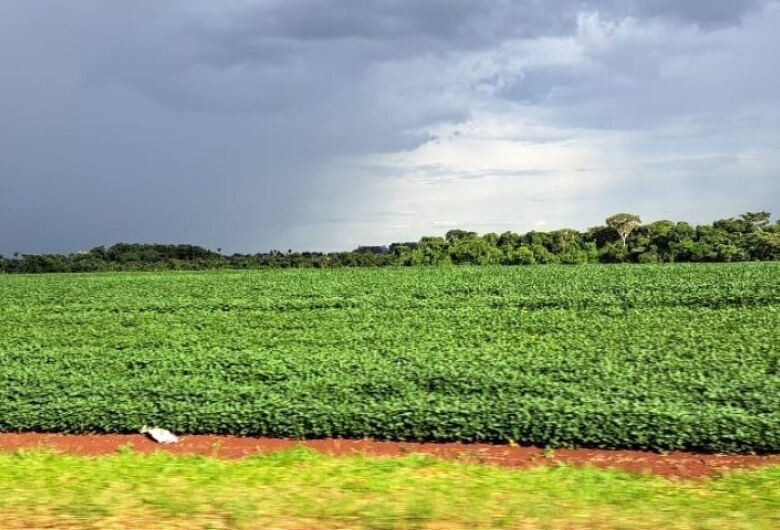 Termina nesta quarta-feira o prazo para cadastro de áreas de plantio de soja