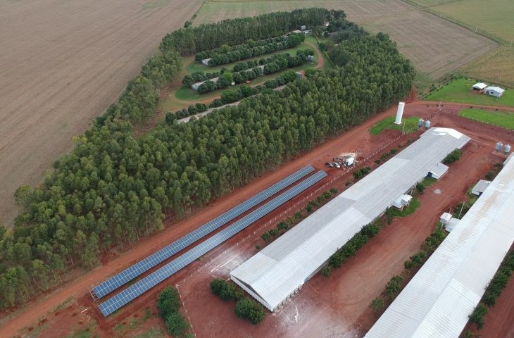 Mundo Novo entra no mapa da avicultura estadual com investimentos de R$ 66 mi
