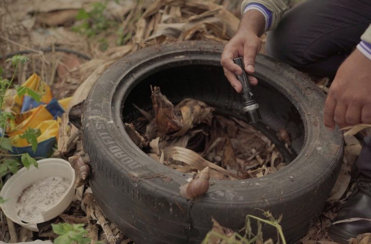Defesa Civil de MS vai atuar para combater focos de dengue na divisa com PR e SP
