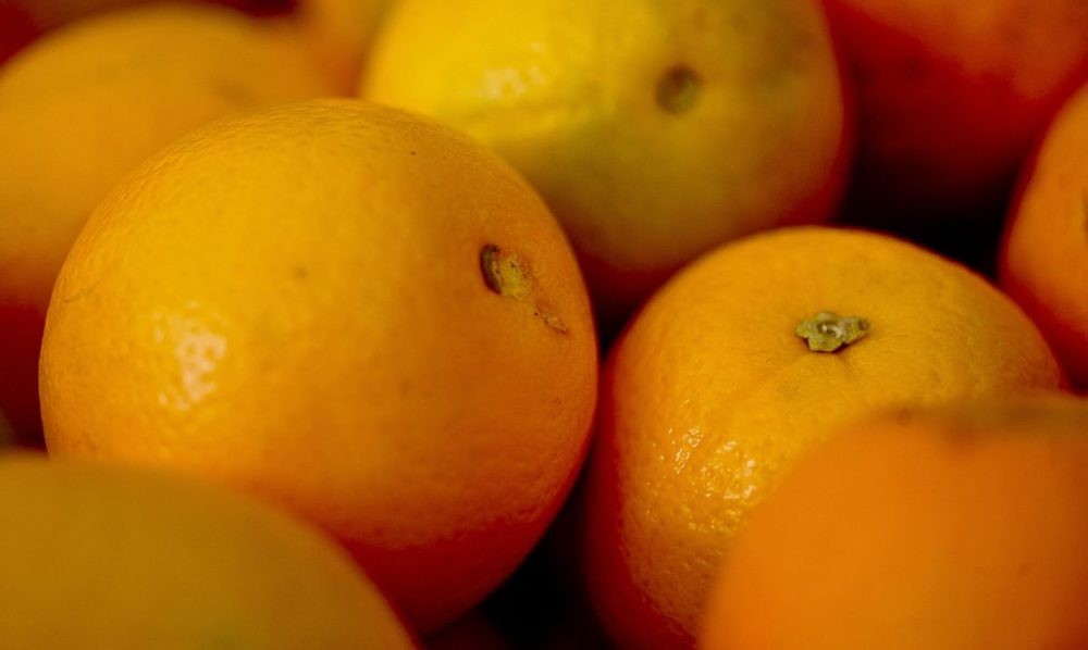 Iagro alerta sobre perigo na compra de mudas irregulares em função da doença greening