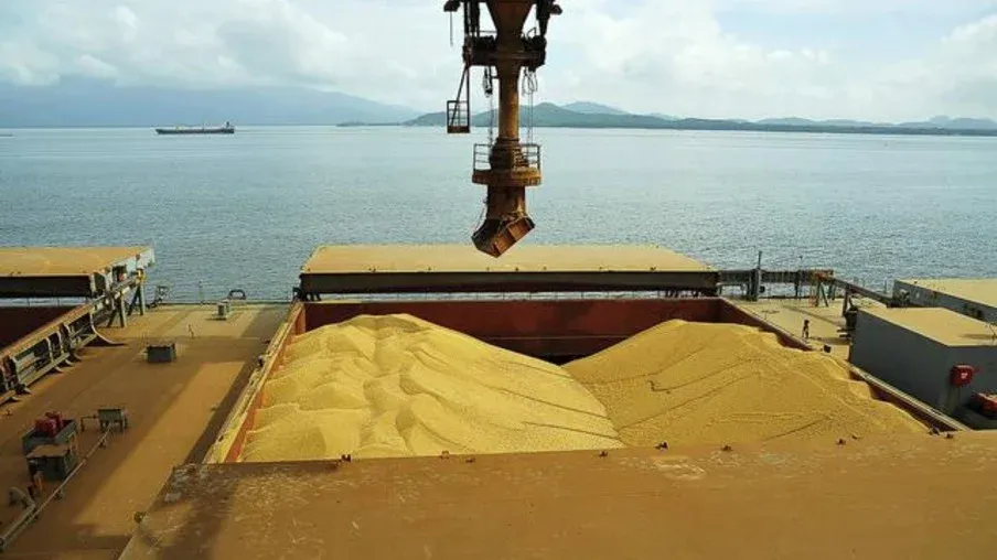 Exportações de soja grão e farelo aumentam e a de óleo decai
