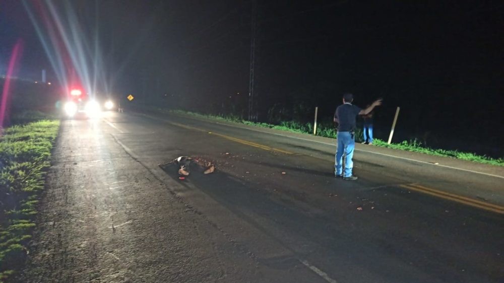 Homem é atropelado e tem cabeça esmagada em Dourados