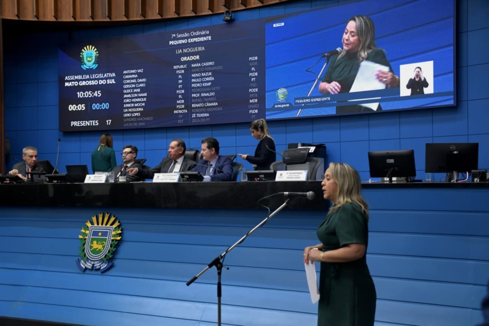 Lia Nogueira solicita recursos para construção de acostamento na MS-040