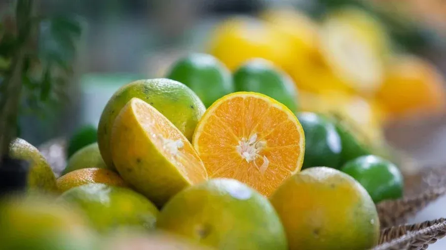 Laranja: Volume da safra 2023/24 está diminuindo, reforçando alta nos preços