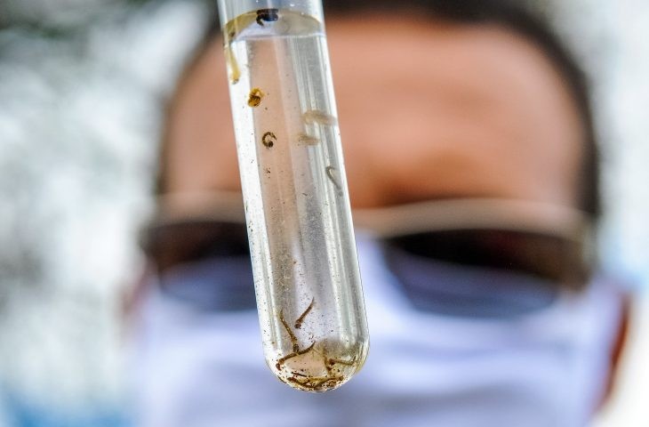 Mato Grosso do Sul tem quase 2 mil casos confirmados de Dengue