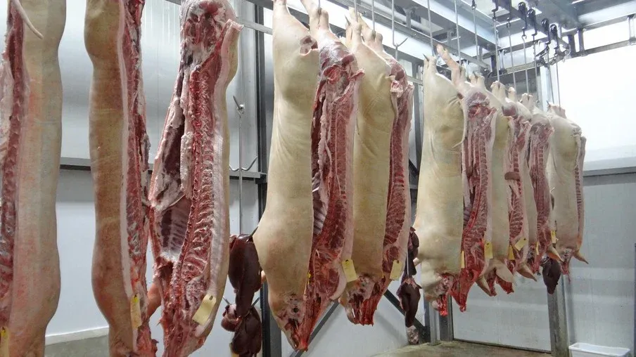 Exportações de carne suína do Brasil têm crescimento de 17,6% neste ano