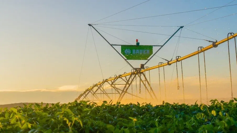 Irrigação: Empresa brasileira vai se expandir para Argentina, Uruguai, Paraguai, Peru e Bolívia