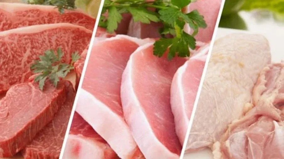 Acordo entre Brasil e Filipinas deve impulsionar exportação de carnes bovina, suína e de aves