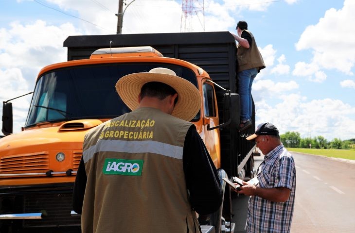 Governo de MS autoriza concurso para área de fiscalização e defesa sanitária na Iagro