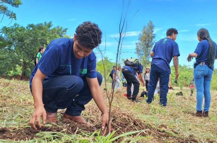 Projeto com estudantes de escola indígena restaura vegetação no Sul do Estado