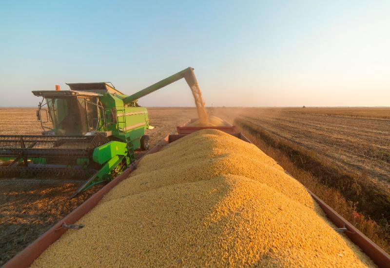 Colheita de soja 2023/24 atinge 66,3% da área no Brasil, diz Conab