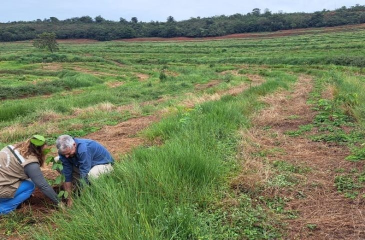 “Sementes do Taquari” muda cenário de parque com recuperação de áreas degradadas
