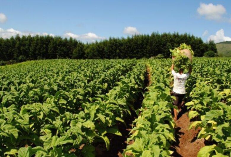Comissão de Agricultura debate dificuldades para o acionamento do Proagro
