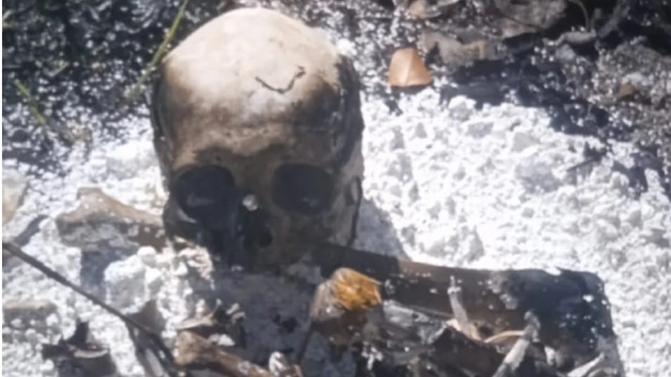 Esqueleto humano é encontrado durante limpeza de  terreno no Paraguai