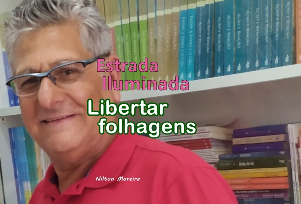 Estrada Iluminada: Libertar folhagens