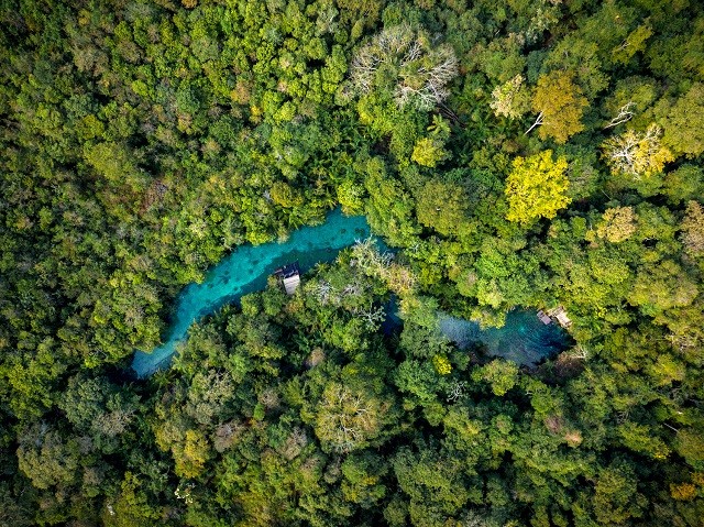 Nascente Azul, um mergulho na natureza de Bonito