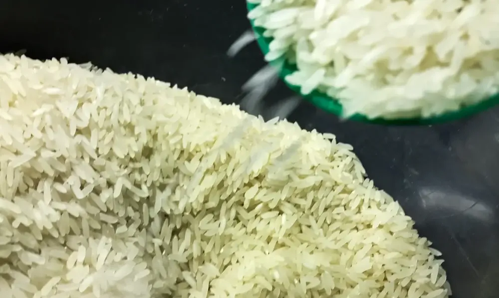 Governo alega 'fragilidades', anula leilão e cancela compra de arroz importado