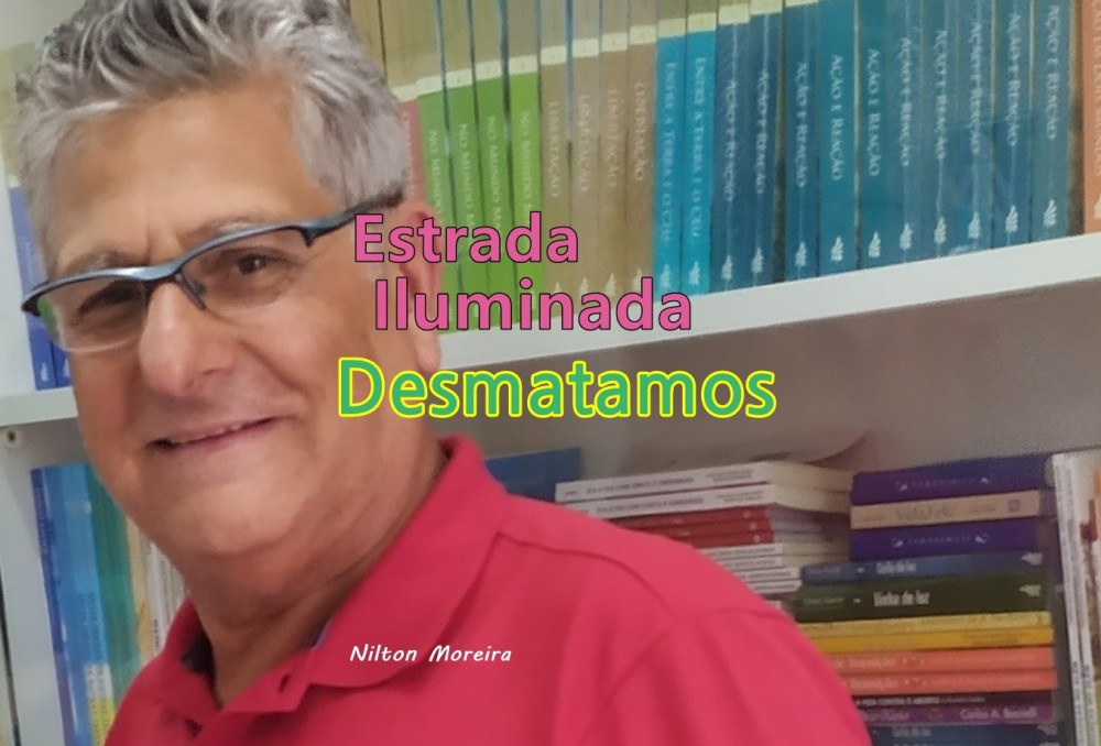 Estrada Iluminada: Desmatamos