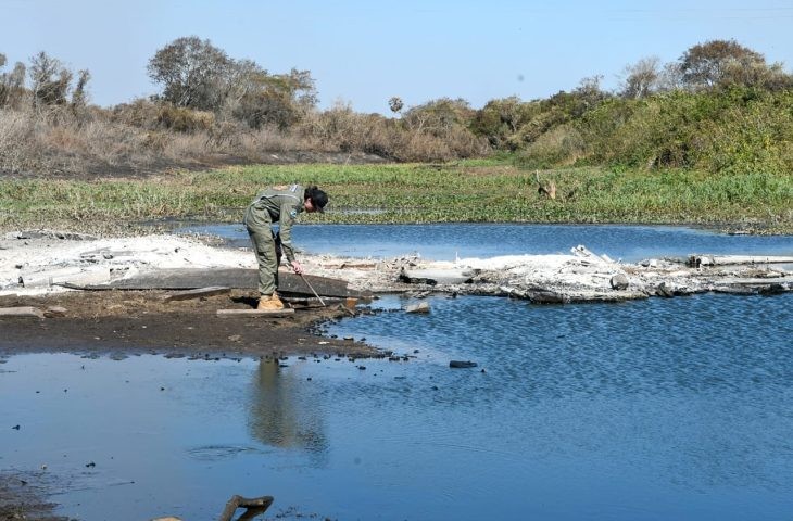 Equipe do Governo de MS no Pantanal monitora áreas queimadas em busca de animais feridos