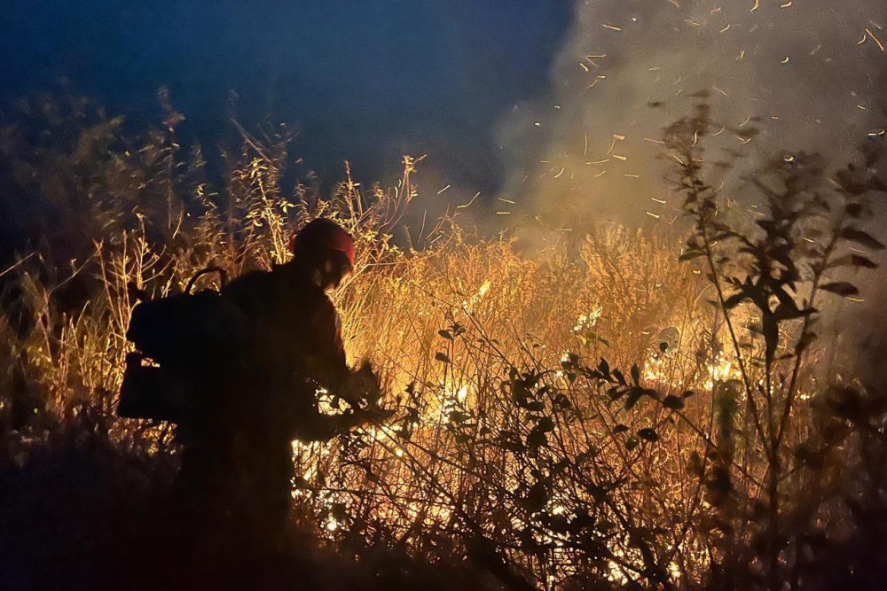Combate ao fogo no Pantanal de Mato Grosso do Sul segue também à noite