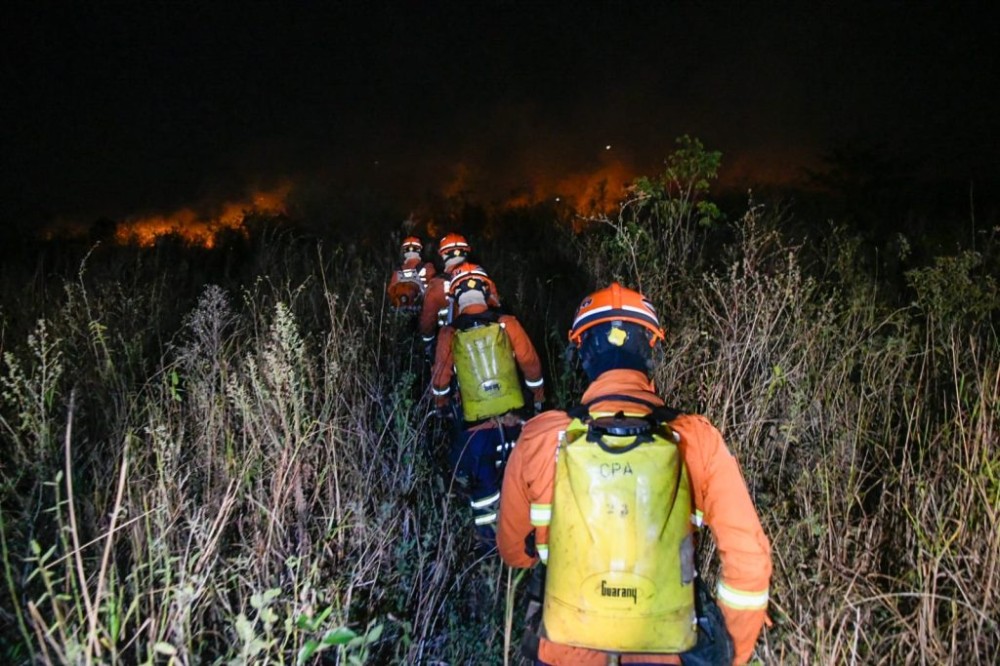 Estado declara situação de emergência em cidades afetadas por incêndios florestais