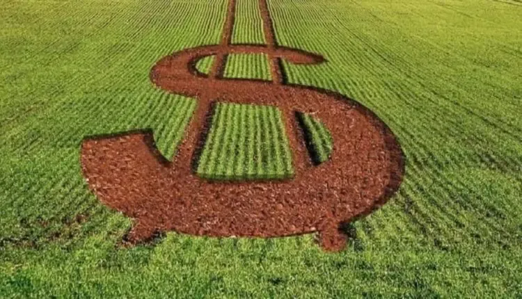 Plano Safra: Agricultura familiar e empresarial terão eventos de lançamento diferentes no mesmo dia