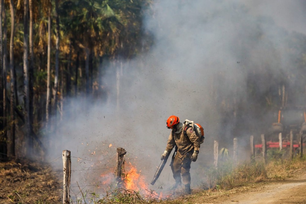 Bombeiros de MS lutam para conter grandes chamas na região do Nabileque