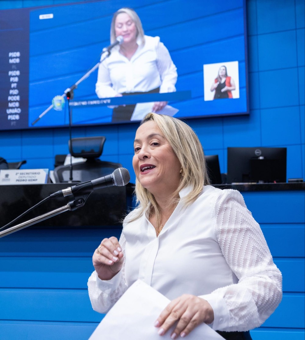 Lia Nogueira pede pavimentação da MS-270 até a Placa do Abadio
