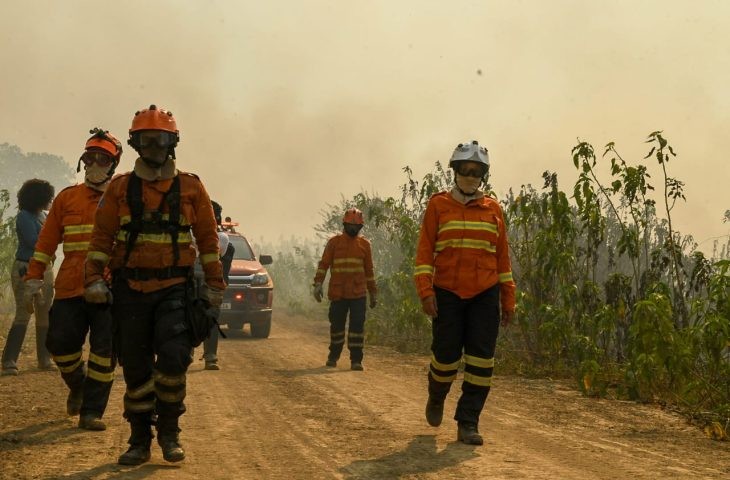 Pantanal: Força-tarefa continua para prevenir incêndios em nova onda de calor