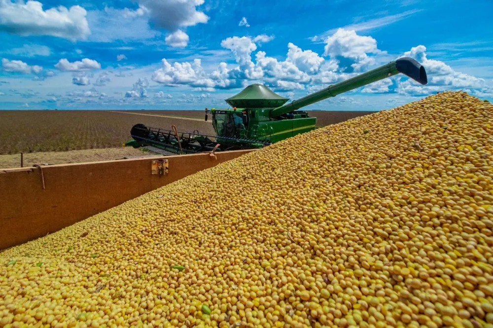 Abiove eleva estimativa de produção de soja em 700 mil toneladas