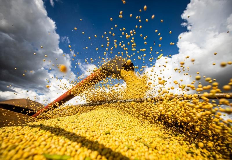 MS encerra o primeiro semestre com saldo positivo de US$ 3,7 bilhões