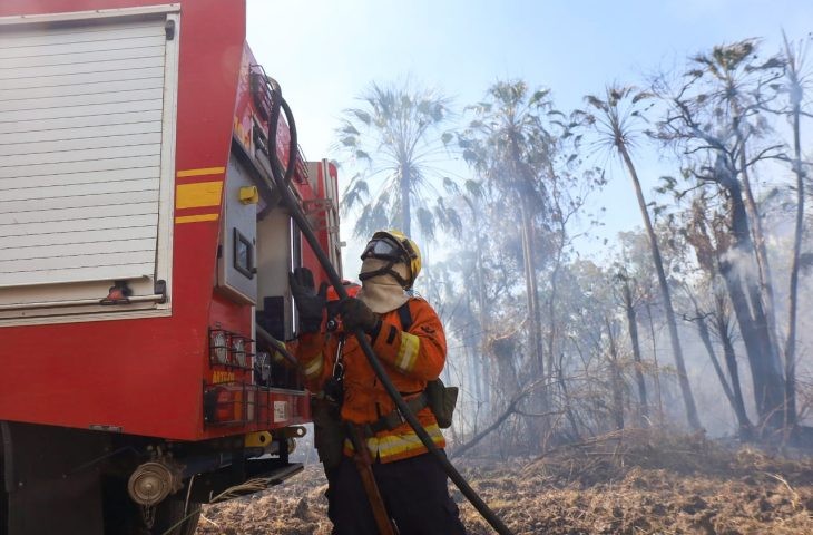 Com 6 focos ativos, incêndios no Pantanal de MS são intensificados
