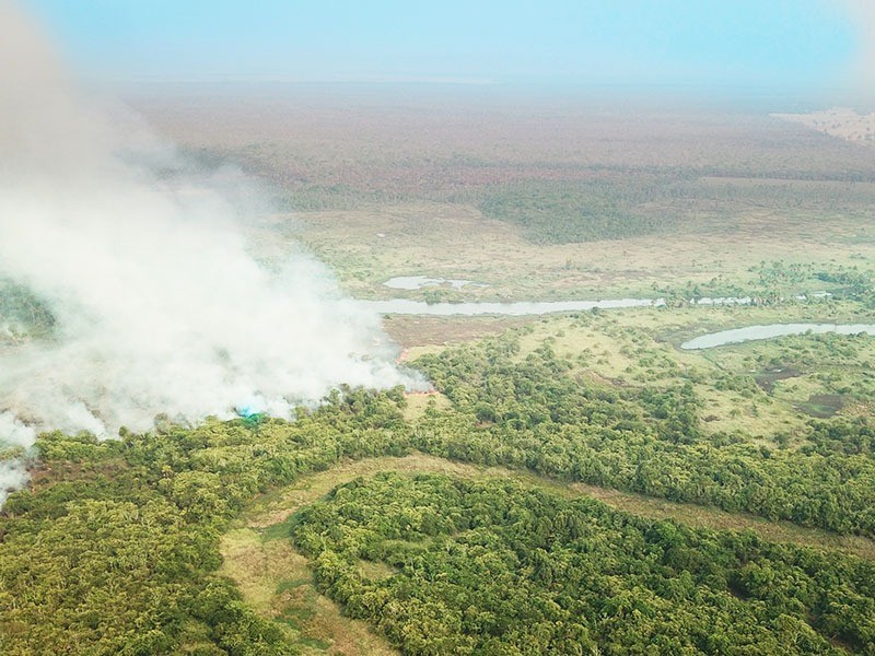 MP vistoria incêndios no Pantanal e apura responsabilidades