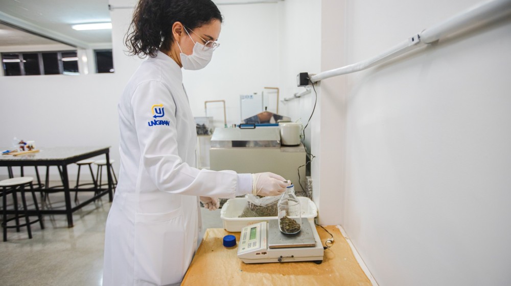 Pesquisa do curso de Farmácia da UNIGRAN avalia segurança de produtos naturais