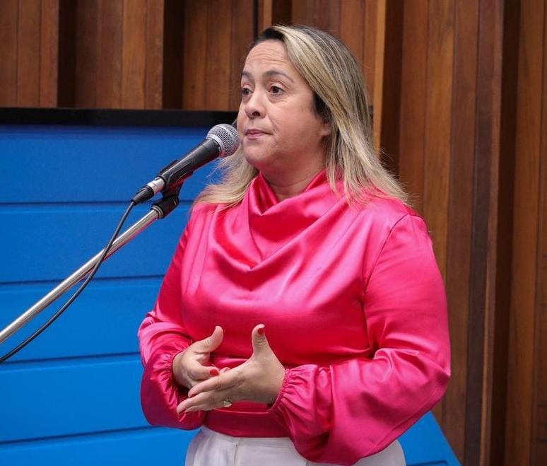 Lia Nogueira defende atendimento 24h nas delegacias da mulher