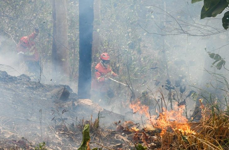 Bioma tem 8 focos ativos mesmo após semana de frio e chuva em MS