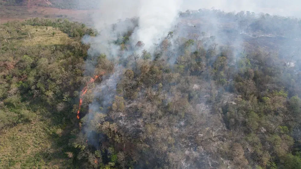 Incêndio no Parque Nacional do Cerro Corá, faz autoridades decretarem emergência