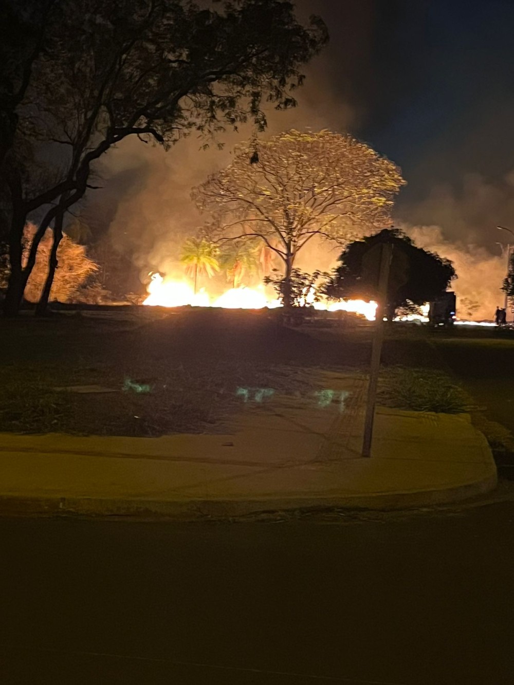 ASSISTA: Incêndio atinge área de mata e assusta moradores em Dourados