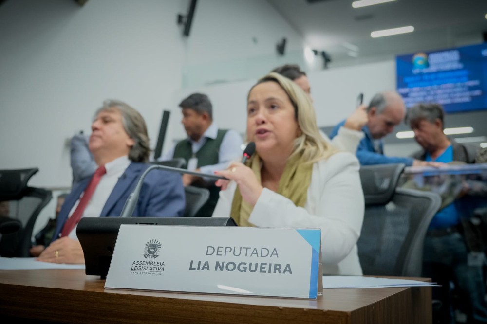 Projeto de carrinhos adaptados em supermercados e hipermercados avança na Assembleia Legislativa