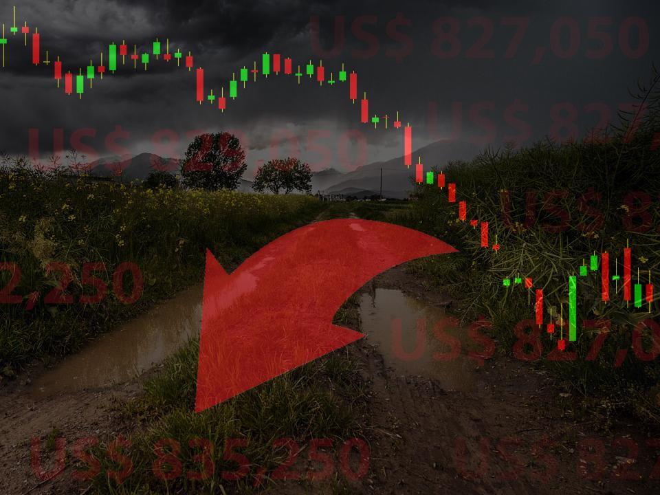 PIB da agropecuária cai 2,3% no 2º trimestre, enquanto indústria sobe 1,8%