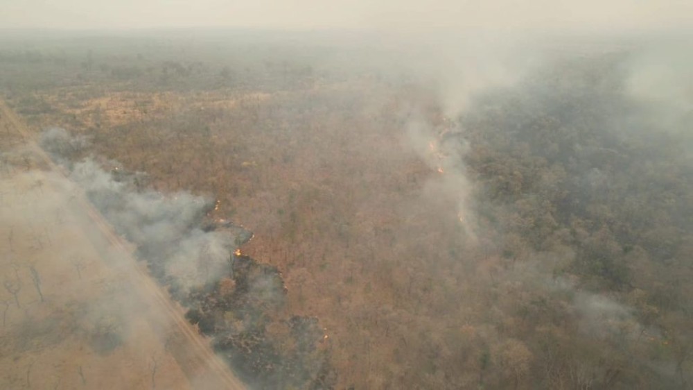 Seca em MS intensifica incêndios florestais e trabalho de combate em todos os biomas