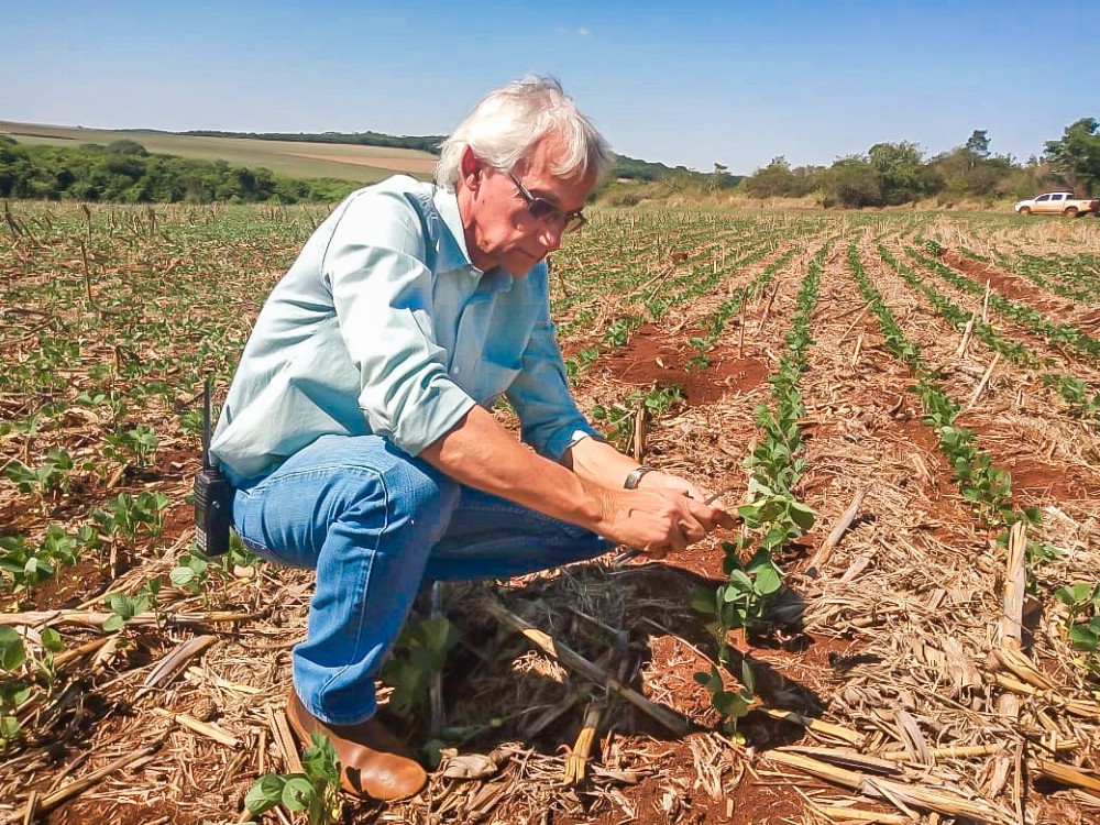 MS: é o momento de plantar a soja?