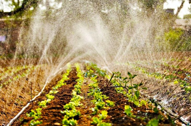 Governo investe mais de R$ 5 milhões em Programa de Residência Agrária