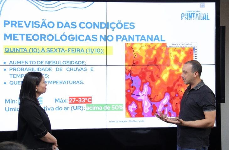 Chuva contribui para extinção de incêndios florestais; equipes continuam mobilizadas